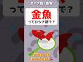 金魚ってロシア語で？🥇🐟　#shorts #ロシア語