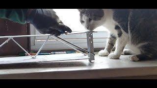 FIU BRIDGE COLLAPSE MODEL PART 2 SAGGING DECK EXPLAINED = LONGITUDINAL POST TENSION FAILURE FIRST