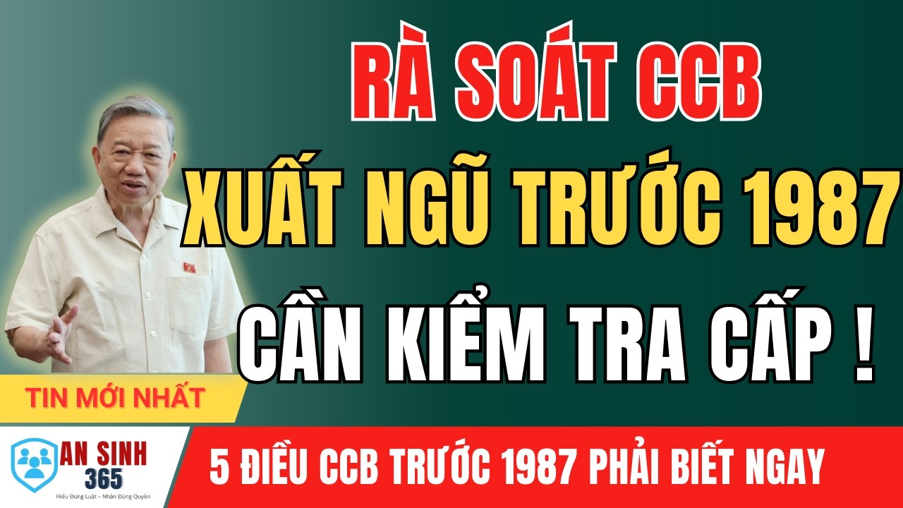 Tháng 3/2026: Rà Soát Hồ Sơ Cựu Chiến Binh Xuất Ngũ Trước 1987 – Cần Biết Điều Gì?
