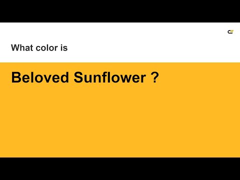 Sunflower Yellow Color Code