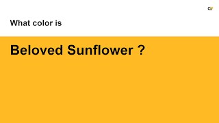 Beloved Sunflower color #ffba24 hex Cool Yellow color ffba24