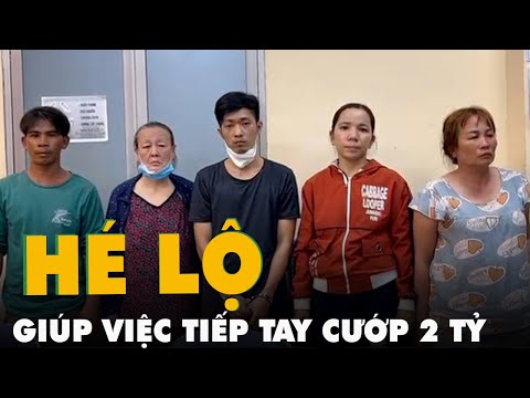 Camera hé lộ 'màn kịch' giúp việc 'tiếp tay' cướp 2 tỉ đồng của chủ nhà