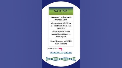 CRISPR CAS SYSTEM PART # 5 (CAS 12 OR CPF1)