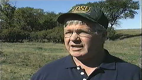 Integrated Pest Management On Control of Leafy Spurge