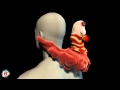 fastfood monster parasite pre-vis from "Branded"