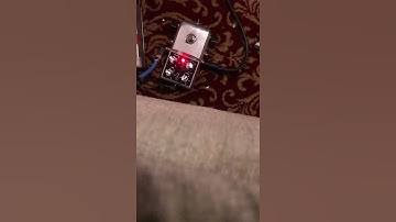 Seppuku Digital Water Delay Echo Pedal Silver Edition