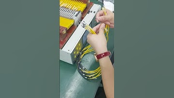 ✨Insert Fiber into MPO Ferrule - MPO Patch Cord Production