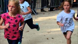 Biesweide Veldloop