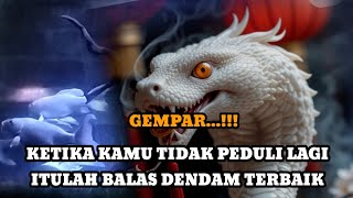 Download Lagu JIWA TERPILIH _ KETIKA KAMU TIDAK PEDULI LAGI ITULAH BALAS DENDAM TERBAIK MP3