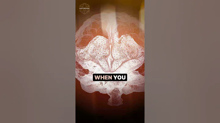 Rewire Your Brain Through Learning