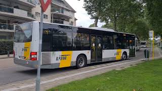 Hulst Busstation Ov Connexxion Zonder 10 Rittenkaart In Zeeland