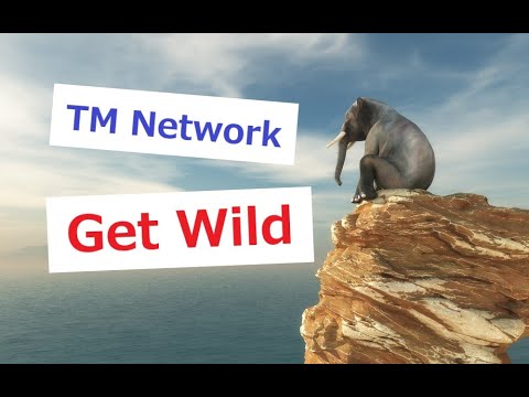TM NETWORK - Get Wild 『シティーハンター』主題歌 リメイク【FL Studio】