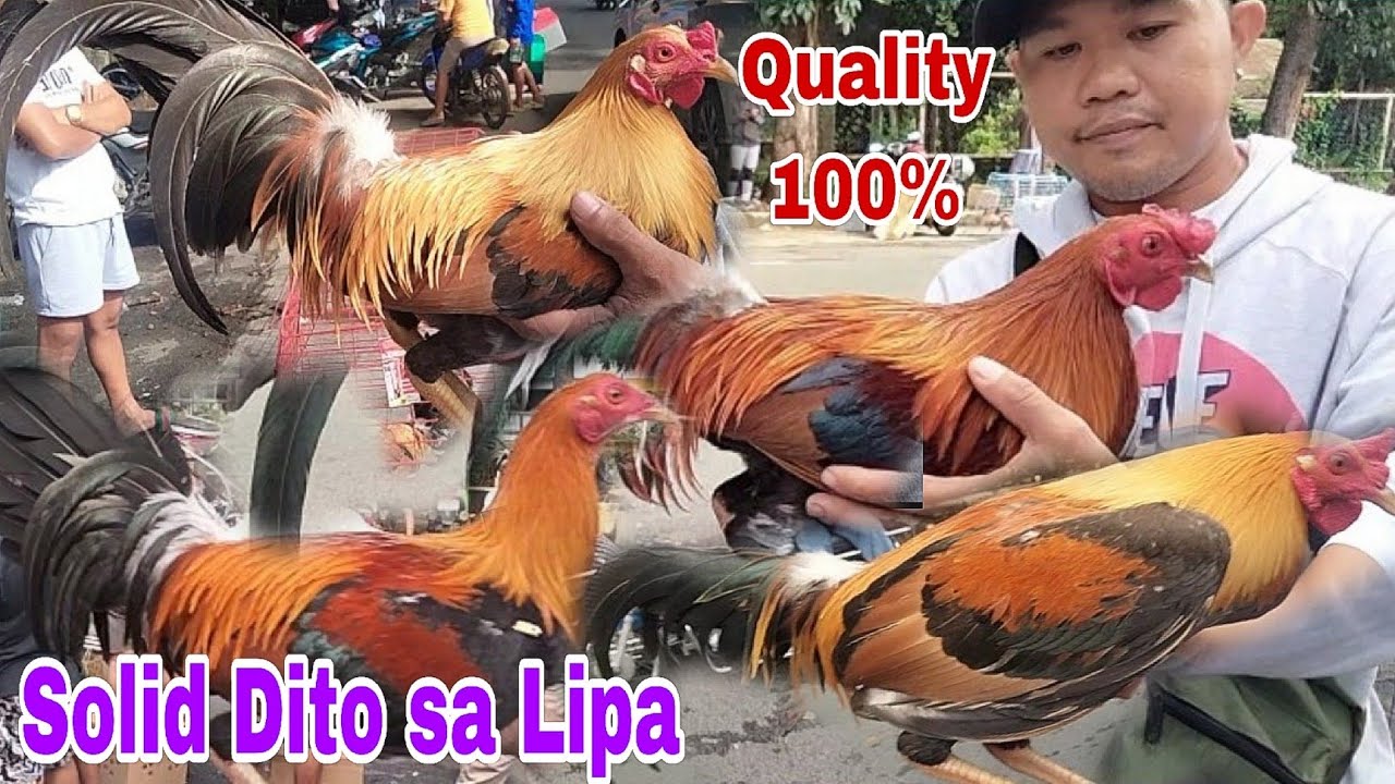 Solido manok Dito.