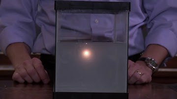 DEMO: The Polarized Sky in a Fish Tank