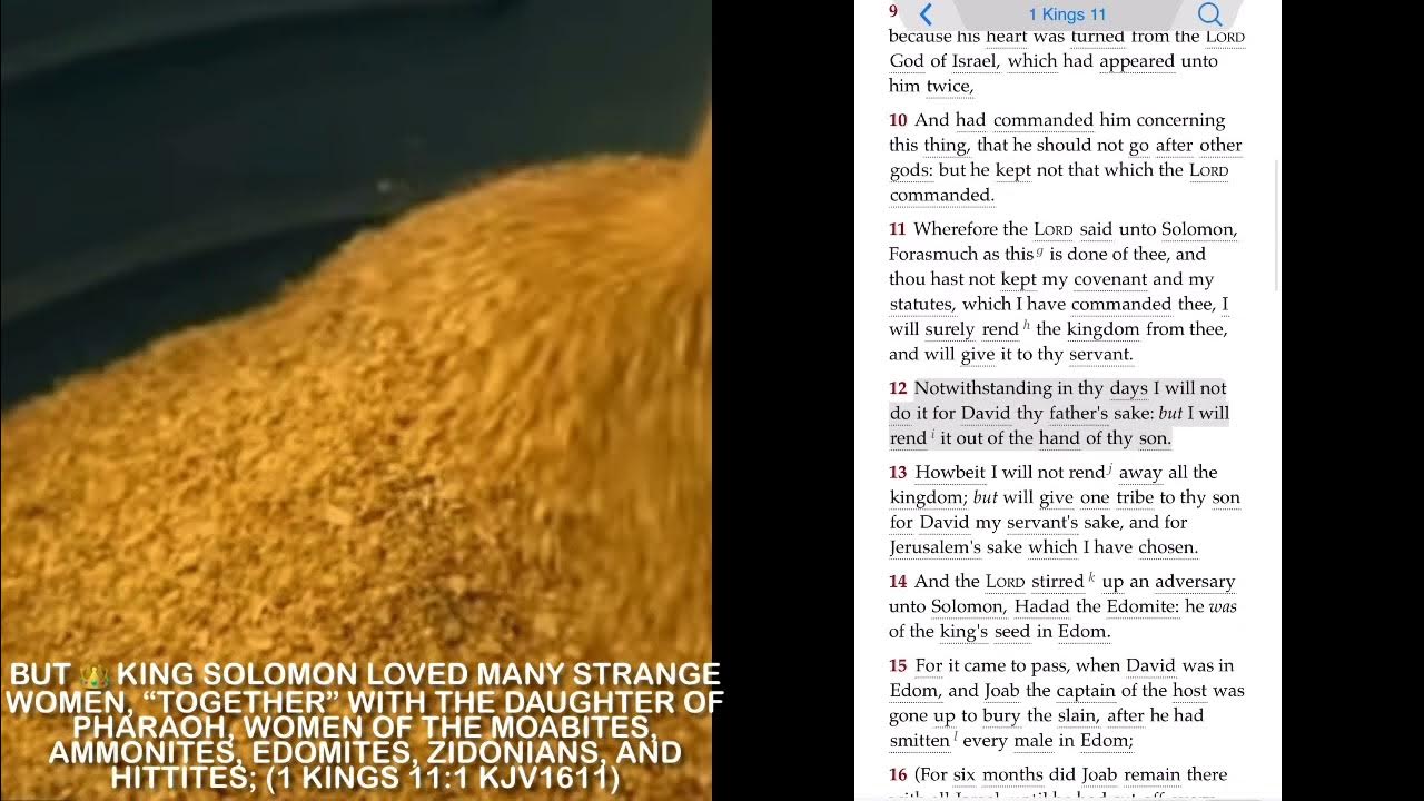 The Queen Of Sheba Gave The King 120 Talents Of Gold Spices In Great the-queen-of-sheba-gave-the-king-120-talents-of-gold-spices-in-great