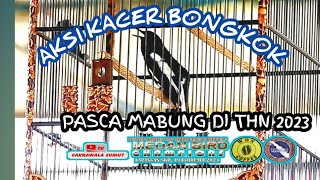 KACER BONGKOK PEMILIK JUL ABDIAH PASCA MABUNG DI 2023 GETAR GETAR