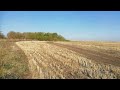 minelab go-find 44 коп железа! Куча меди!