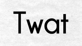 Slanguage What Does Twat Mean? England