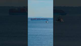 Freightliner container ship #waterfront