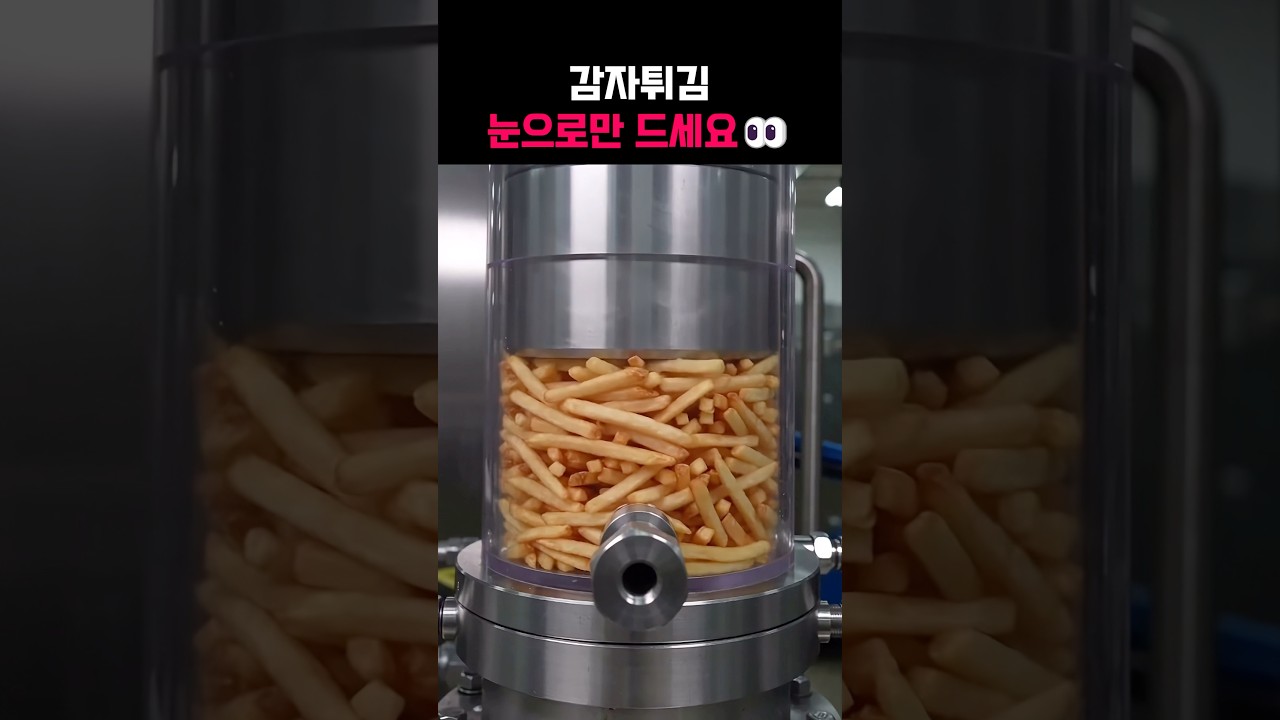 감자튀김! 눈으로만 드세요 👀