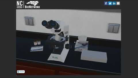 How to Use the Virtual Microscope