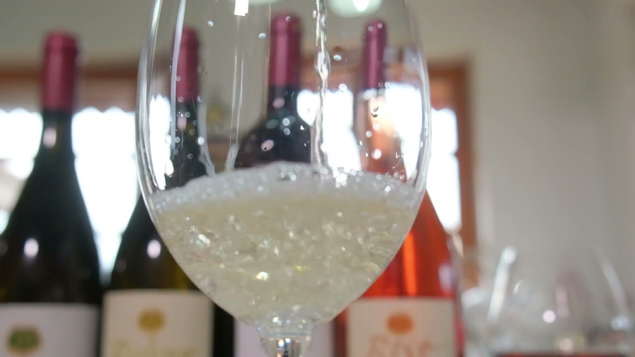 Put do robne marke ep. 214 17.03.2025. Podrum “Damjanović”, Garevina kod Aleksandrovca Župskog