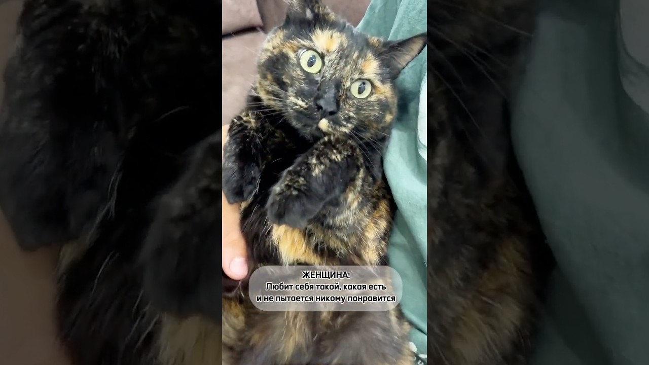 Мы сами решаем, где у нас талия 😂