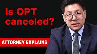 Why Some Lawmakers Want to End OPT