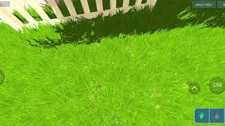 2020 M. Birželio 1 D.