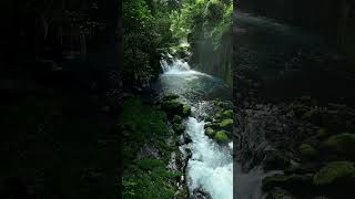 Beautiful Relaxing Music🌿 Stop Overthinking, Stress Relief Music, Sleep Music