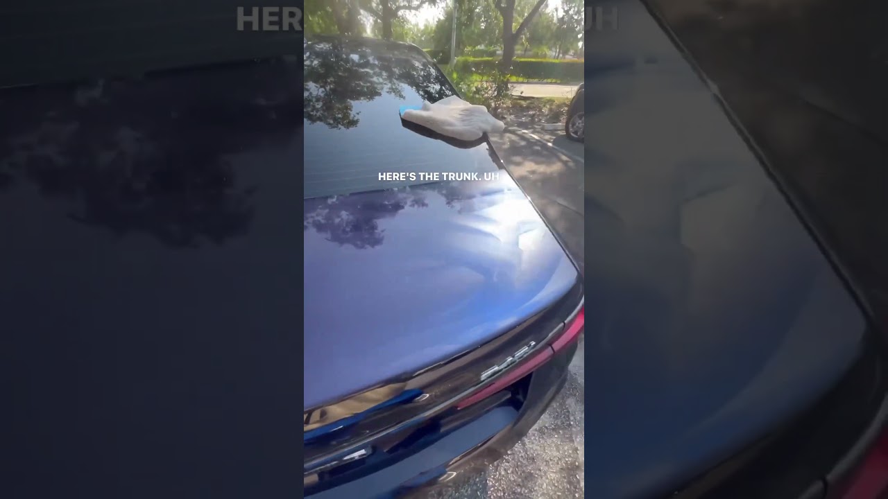 Koch Chemie BWP So:01 results on this BMW Detail 