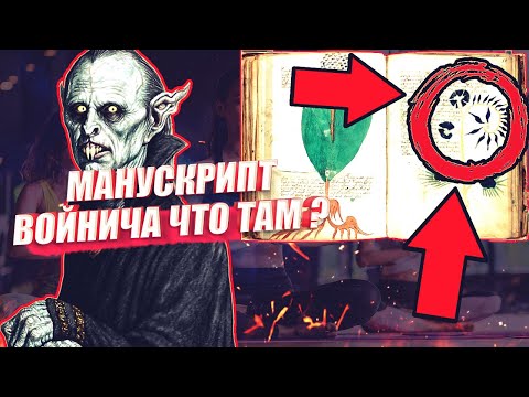 ВСЁ ЧТО ИЗВЕСТНО О МАНУСКРИПТЕ ВОЙНИЧА РАСШИФРОВКА