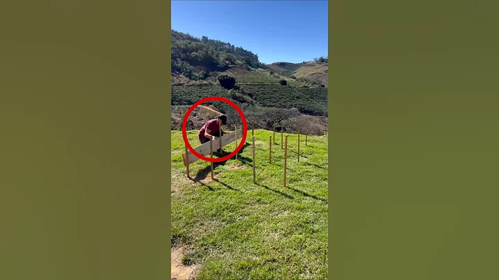 DIY Raised Garden Bed! #diy #edit #shorts