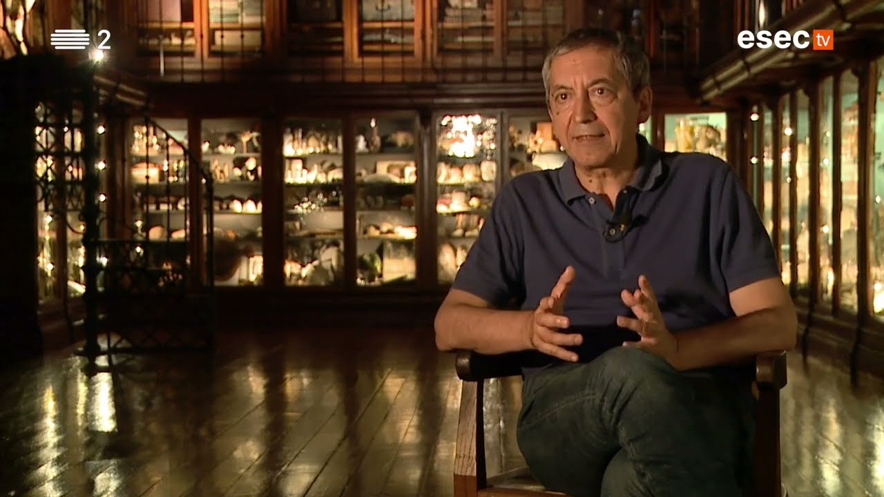 Gabinete de Curiosidades | Museu da Ciência da Universidade de Coimbra