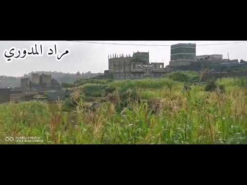 يا مركب الهند ابو دقلين ياليتني كنت ربانك يحيى عمر الفنانه عبير مسقط الرأس يافع قرية مدور