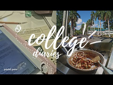 🍃 last days of the semester // college diaries