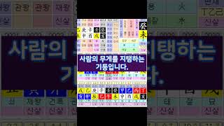 어깨는 짊어진 삶의 짐 무게를 말해줍니다 #사주명리학강의 #철학관창업 #사주팔자프로그램사용법
