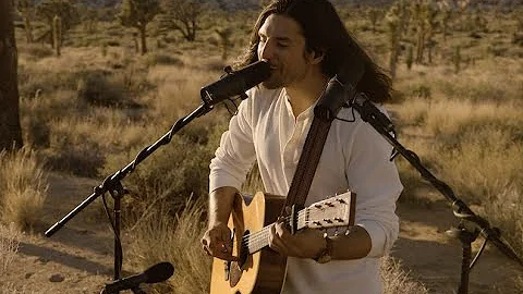 Craig Stickland - Starlit Afternoon (The Van Sessi...