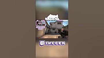 when your cat is on the enemy team #shorts