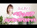 【ハンギングバスケット】オススメのお花ナンバーワン!ペチュニアでワンランク上の寄せ植え♪
