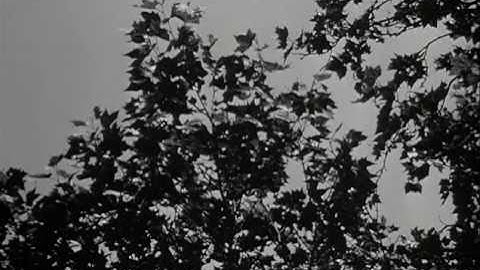 Chapter 1 - Mathematical Models