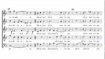 Carlo Gesualdo Madrigali A Cinque Voci Dell'Illustrissimo and Eccellentissimo Prencipe Di Venosa D. Carlo Gesualdo - Libro Primo Carlo Gesualdo Madrigali A Cinque Voci Dell'Illustrissimo and Eccellentissimo Prencipe Di Venosa D. Carlo Gesualdo - Libro Primo