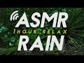 RELAXING RAIN FOREST | ASMR | Sounds for STUDY or SLEEP
