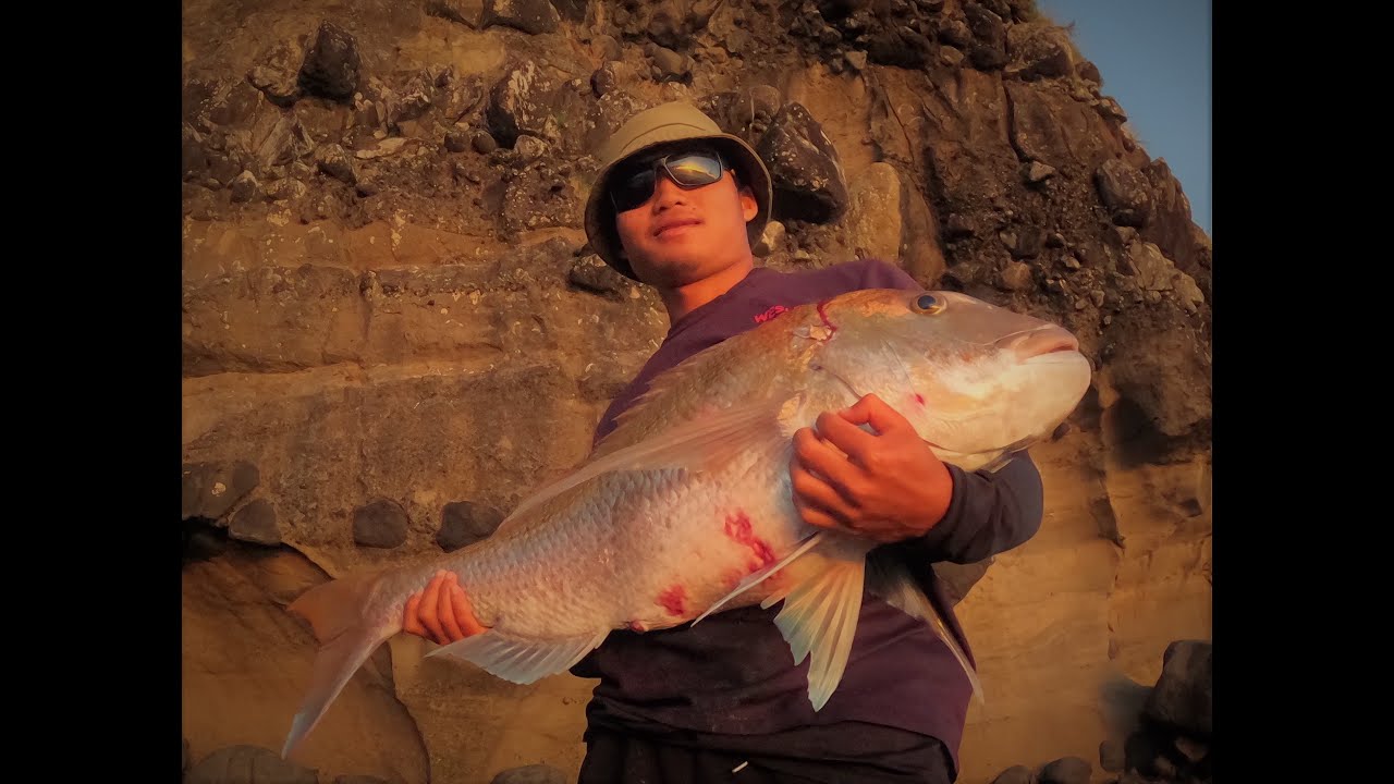 10 KG+ MONSTER SNAPPER Rock Fishing Manukau harbour YouTube