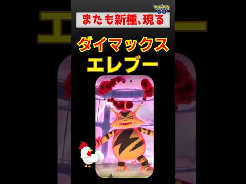 新種登場！【ダイマックス エレブー】 #ポケモンgo #ポケモン #pokemongo #ダイマックス #エレブー #ドリュウズ