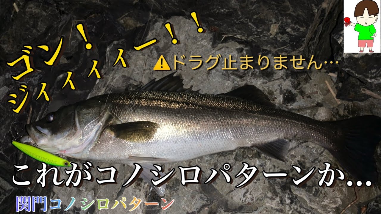 関門コノシロパターン 真冬の肥えたシーバスを釣り上げろ Youtube