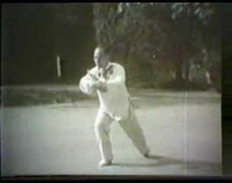 Classical Yang Tai Chi Chuan