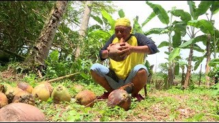 Membuat Keset Sabut Kelapa Dan Kue Dadar Mawar  Jejak Si Gundul 201218 Part 2