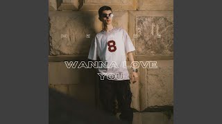 Wanna Love You