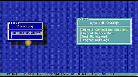 SyncTerm and BBS Retroacademy